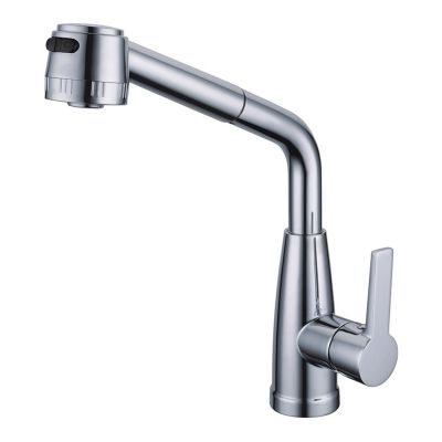Pull-out Kitchen Faucet with Sprayer